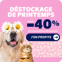 Destockage de Printemps