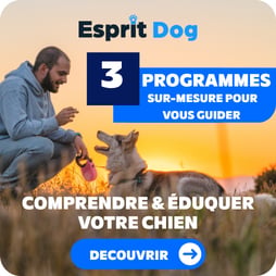 Esprit Dog
