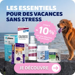 Notre s&eacute;lection anti-stress
