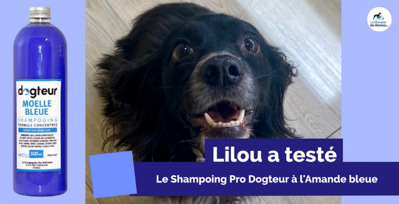 On a testé : le shampooing PRO Dogteur pour chien à l'Amande Bleue