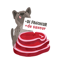 La Compagnie des Animaux - Edgard & Cooper