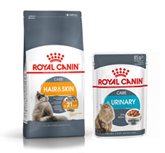 Royal Canin Feline Health Nutrition