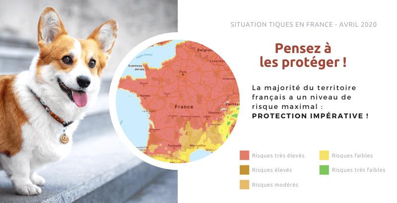 Printemps 2020 : Situation des tiques en France