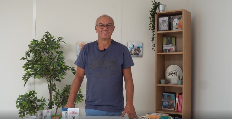 VIDEO VETO : L'alimentation humide pour chat et chien