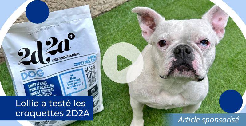 On a testé : Les croquettes à base d'insectes 2D2A [VIDEO]