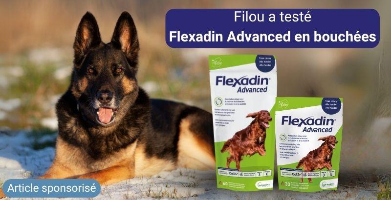On a testé Flexadin Advanced pour chien en bouchées