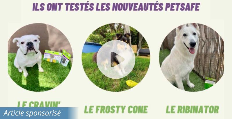 On a testé : la gamme de jouet PetSafe® pour chien