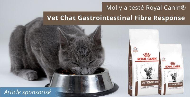 On a testé les croquettes Royal Canin® Vet Chat Gastrointestinal Fibre Response 