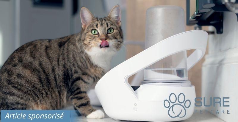 On a testé FELAQUA : Distributeur d'eau connecté pour chats
