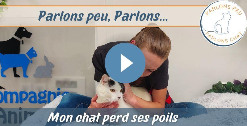 Parlons peu parlons chat : Mon chat perd ses poils [VIDEO]