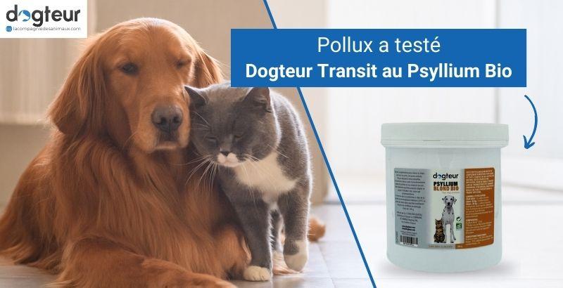 Pollux a testé Dogteur Transit au Psyllium Bio chien et chat