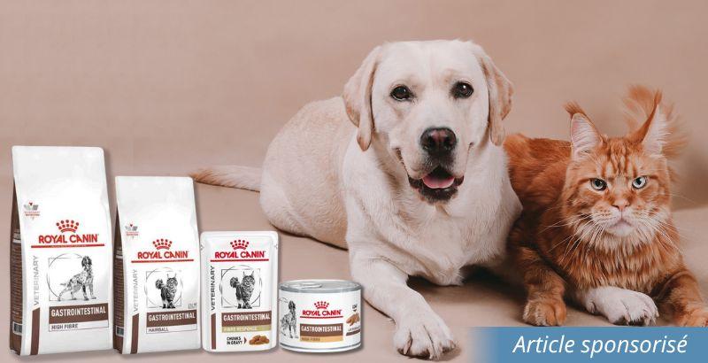 Comment améliorer la santé digestive de votre animal avec Royal Canin Veterinary Gastrotintestinal