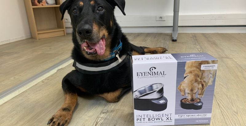 On a testé : la gamelle Eyenimal Intelligent PetBowl [VIDEO]