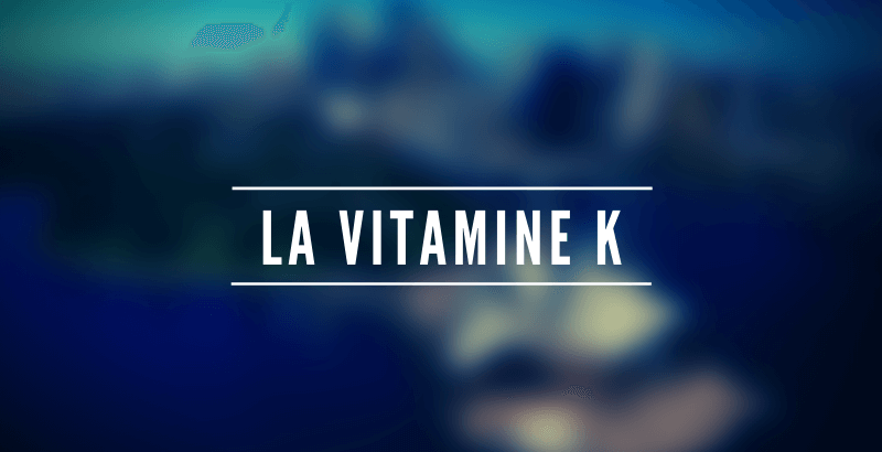 Les nutriments - La vitamine K