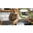 On a testé : le kit de mini friandises PetCooking pour chat [VIDEO]