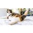 Pourquoi mon chat crache-t-il ?