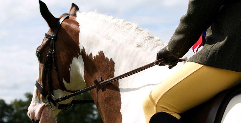 Comment bien préparer son cheval avant le début de la saison de compétition ?