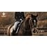 Gérer la saison sportive de votre cheval avec PAARDENDROGIST SPORT SUPPORT