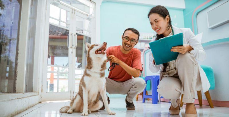 Choisi le bon vermifuge pour son chien : Naturel ou chimique ?