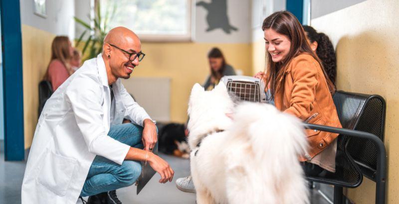 Comment aider jusqu’au bout un chien en insuffisance rénale terminale