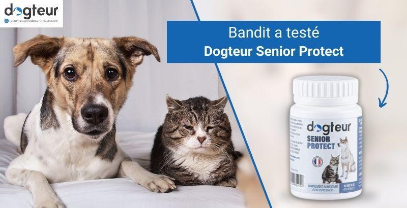 On a testé Dogteur Senior Protect