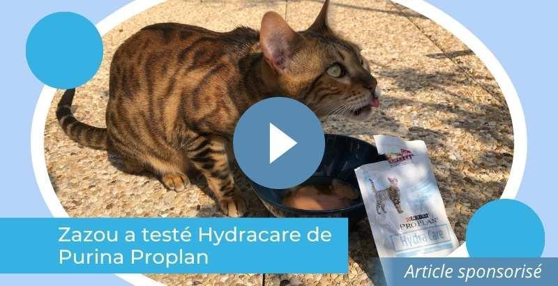 On a testé : Hydracare de Purina Proplan [VIDEO]