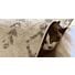 Quel Feliway choisir ?
