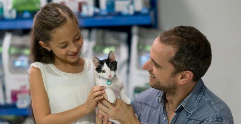 Comment adopter un chaton dans les meilleures conditions ?