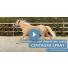 On a testé : Le Spray Centaura pour chevaux [VIDEO]