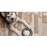 Dermacomfort Nutrition : La gamme Royal Canin pour chien
