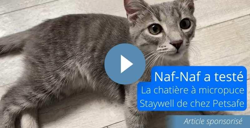 On a testé : la chatière Staywell avec micropuce électronique [VIDEO]