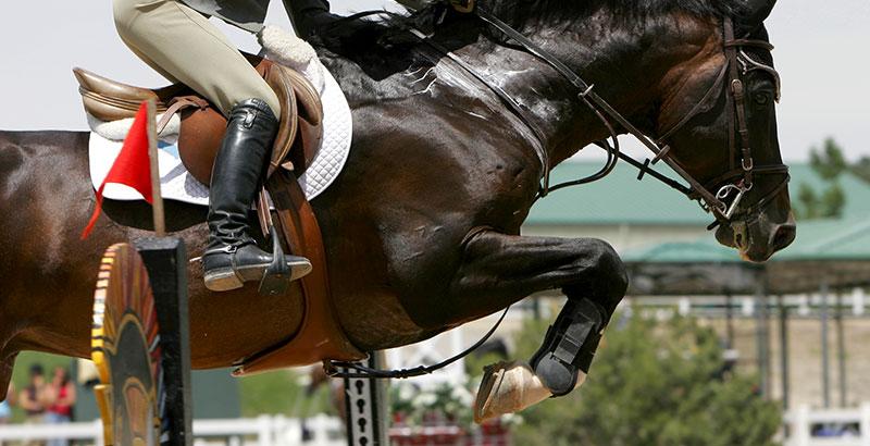 Bleimes et abcès chez le cheval