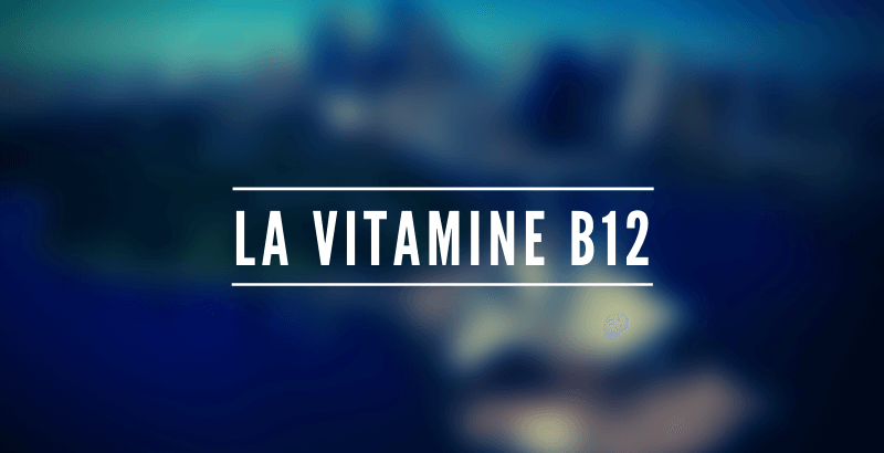Les nutriments - La vitamine B12 ou Cobalamine
