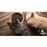 Quelles sont les meilleures croquettes pour chat stérilisé ?