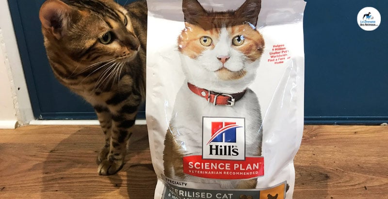 On a testé : les croquettes Hill’s Science plan Feline Young Adult pour chats stérilisés [VIDEO]