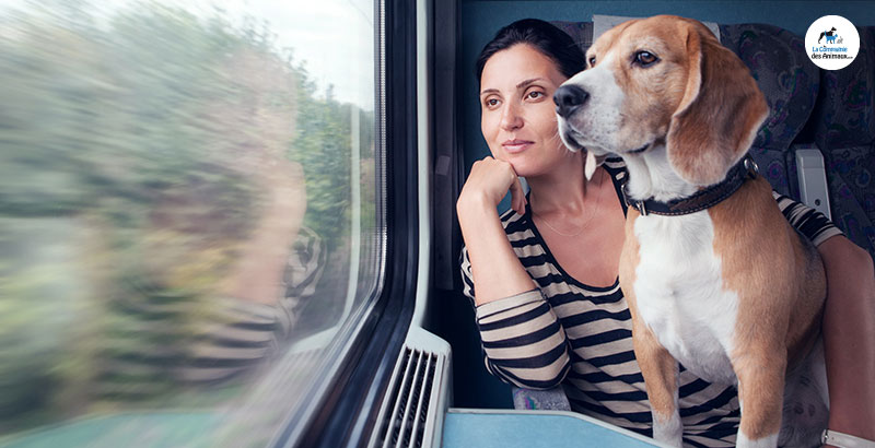 Comment voyager en train avec son animal ?