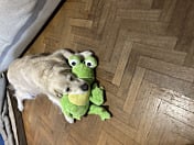 Review image