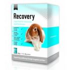 Supreme Petfoods Recovery 10 x 20 grs