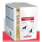 Royal Canin Veterinary Diet Convalescence Support 10 sachets de 50 grs
