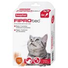 Beaphar Fiprotec chat 6 pipettes- La Compagnie des Animaux
