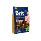 Brit Premium by Nature M pour Chien Adulte 3 kg