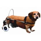 Chariot Canis Mobile pour chien paralysé du train arrière PM