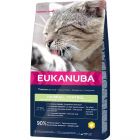 Eukanuba Chat Adult Hairball Control Poulet et Foie 2 kg - La Compagnie des Animaux