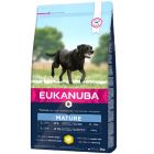 Eukanuba Chien Thriving Mature Grande Race 3 kg - Destockage