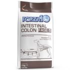 Forza10 Intestinal Colon Fase 1 chien 4 kg