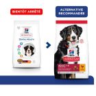 Hill's Science Plan VetEssentials Canine Adult Large Dental Health 13 kg