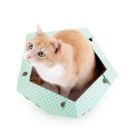 Cat in the Box OLIVER 45 x 43 x 25 cm