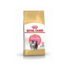 Royal Canin Persian Kitten 10 kg- La Compagnie des Animaux