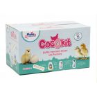 Plume & Compagnie Cocokit Poussin
