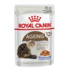Royal Canin Ageing +12 en gelée sachets pour chat 12 x 85 g- La Compagni